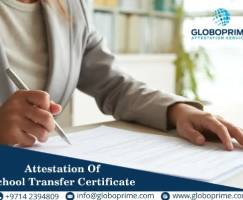 school transfer certificate